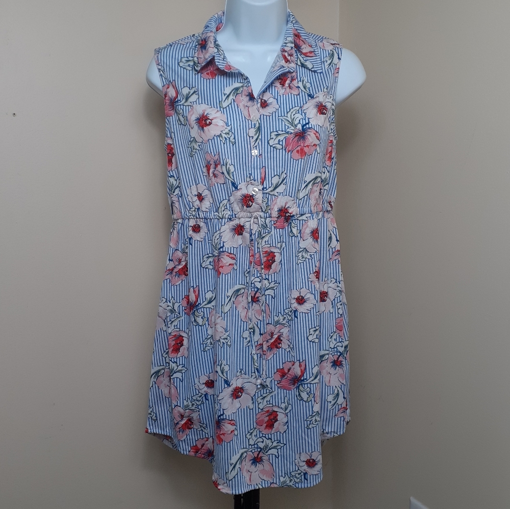Blue Striped Floral Print Dress